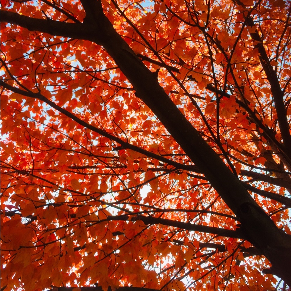 Meet your Posher, Kamal